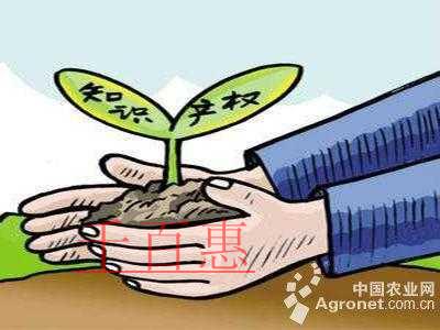 2019年中央一號文件：加強農(nóng)業(yè)領(lǐng)域知識產(chǎn)權(quán)創(chuàng)造與