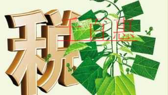 開具9%稅率發(fā)票,申報(bào)表如何填寫