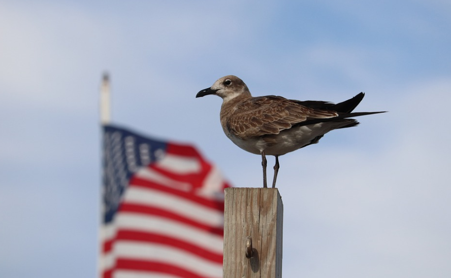 美國公司關(guān)門了怎么關(guān)門？