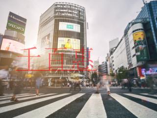 契稅、土地增值稅計稅依據(jù)該不該包含增值稅？