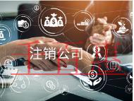 海南注銷公司需要多少錢？流程是什么？