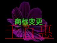 商標變更要注意的問題和需要多少費用? 商標變更要注意的問題和需要多少費用?