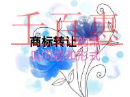 商標變更的商標轉(zhuǎn)讓的常見問題?流程是什么? 商標變更的商標轉(zhuǎn)讓的常見問題?流程是什么?